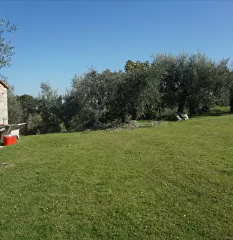 Foto annuncio 3