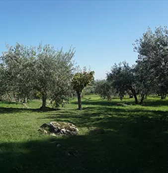Foto annuncio 4