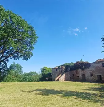 Foto annuncio 2