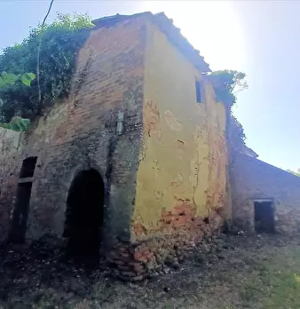 Foto annuncio 5