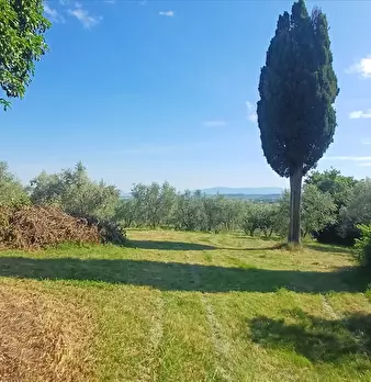 Foto annuncio 7