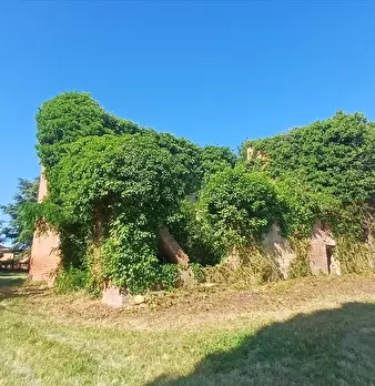 Foto annuncio 9