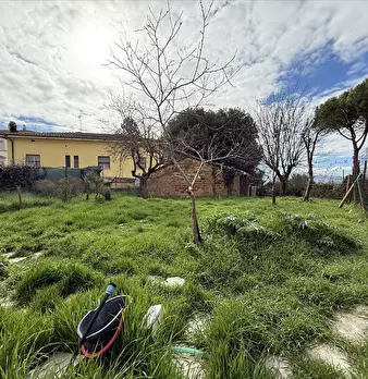 Foto annuncio 6