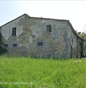 Foto annuncio 6