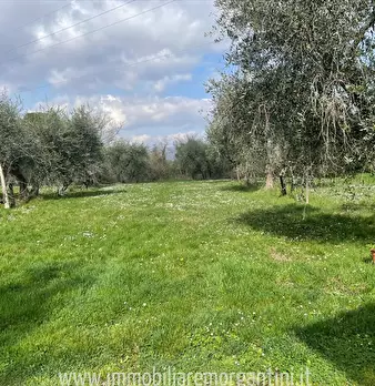 Foto annuncio 4