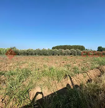 Foto annuncio 10