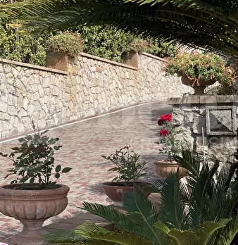 Foto annuncio 8
