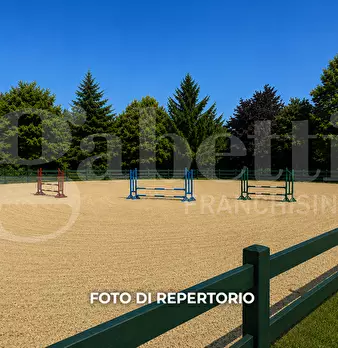 Foto annuncio 9