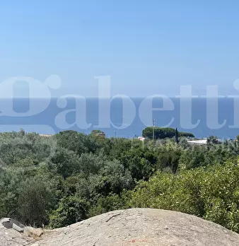 Foto annuncio 17