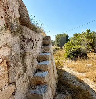 Foto annuncio 11