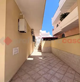 Foto annuncio 31