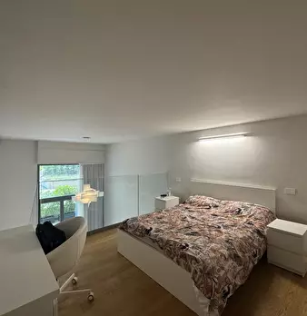 Foto annuncio 7
