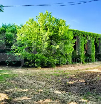 Foto annuncio 6