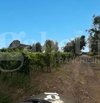Foto annuncio 23