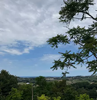 Foto annuncio 18