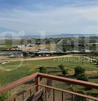 Foto annuncio 11
