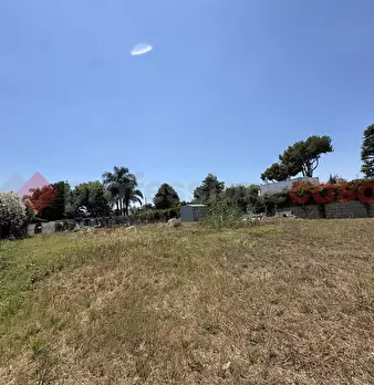 Foto annuncio 4