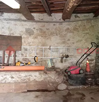 Foto annuncio 10