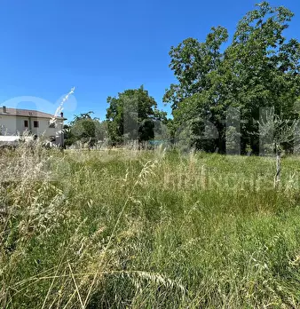 Foto annuncio 18