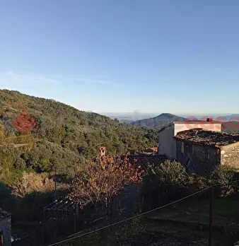 Foto annuncio 42