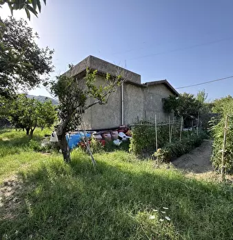 Foto annuncio 12