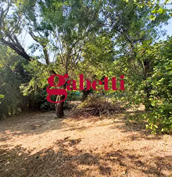 Foto annuncio 28