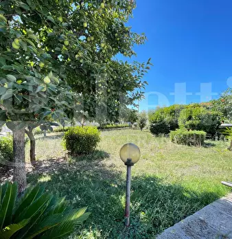 Foto annuncio 29