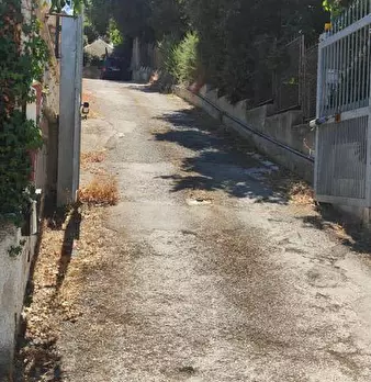 Foto annuncio 17