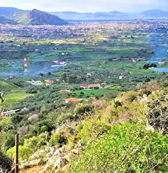 Foto annuncio 10