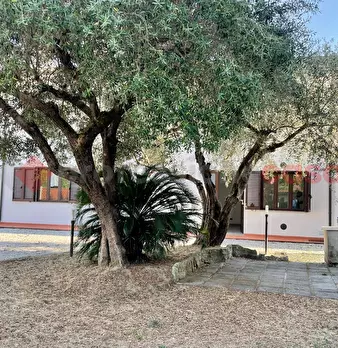 Foto annuncio 2