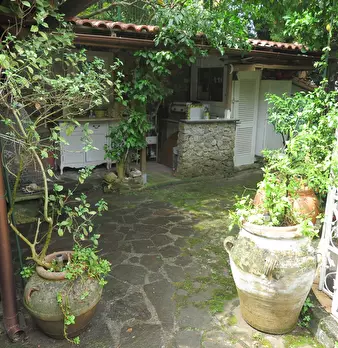 Foto annuncio 6