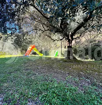 Foto annuncio 28