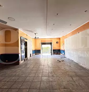 Foto annuncio 14