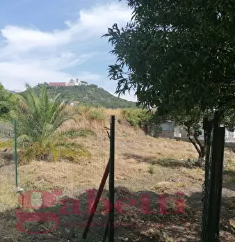 Foto annuncio 13