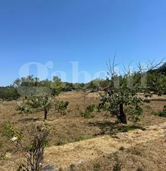 Foto annuncio 18