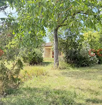 Foto annuncio 33