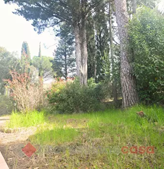 Foto annuncio 21