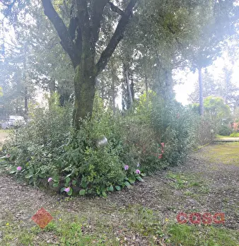 Foto annuncio 20