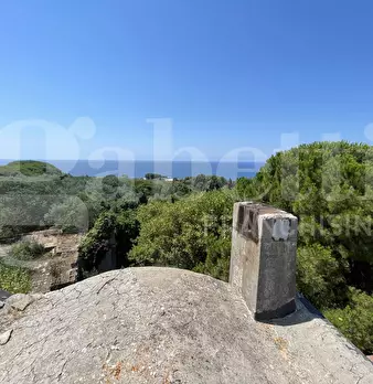 Foto annuncio 12