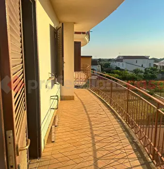 Foto annuncio 11
