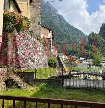 Foto annuncio 6