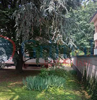 Foto annuncio 21