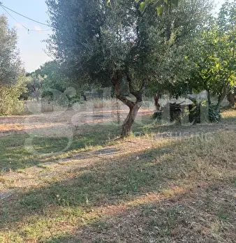 Foto annuncio 4