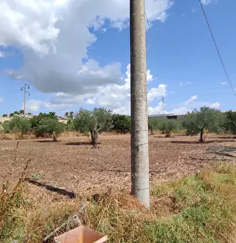 Foto annuncio 11