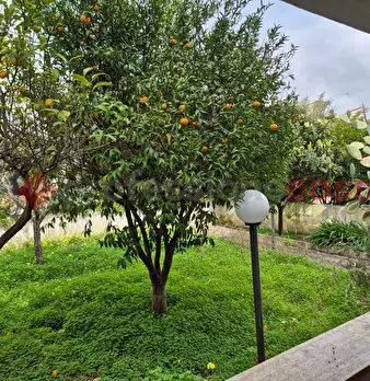 Foto annuncio 33