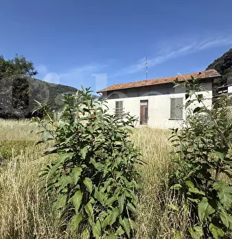 Foto annuncio 12
