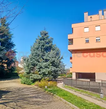 Foto annuncio 21