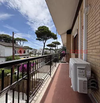 Foto annuncio 25