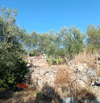Foto annuncio 6
