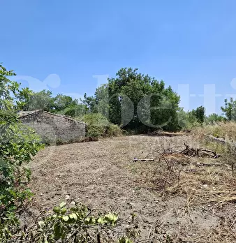Foto annuncio 20